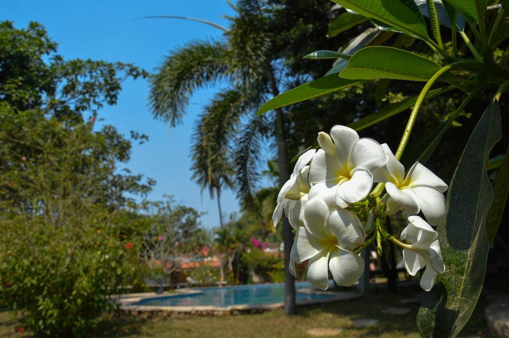 Le Flamboyant Resort Кеп Екстериор снимка