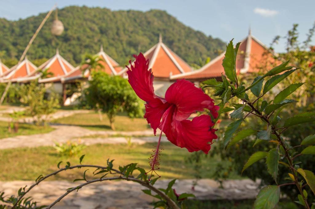 Le Flamboyant Resort Кеп Екстериор снимка
