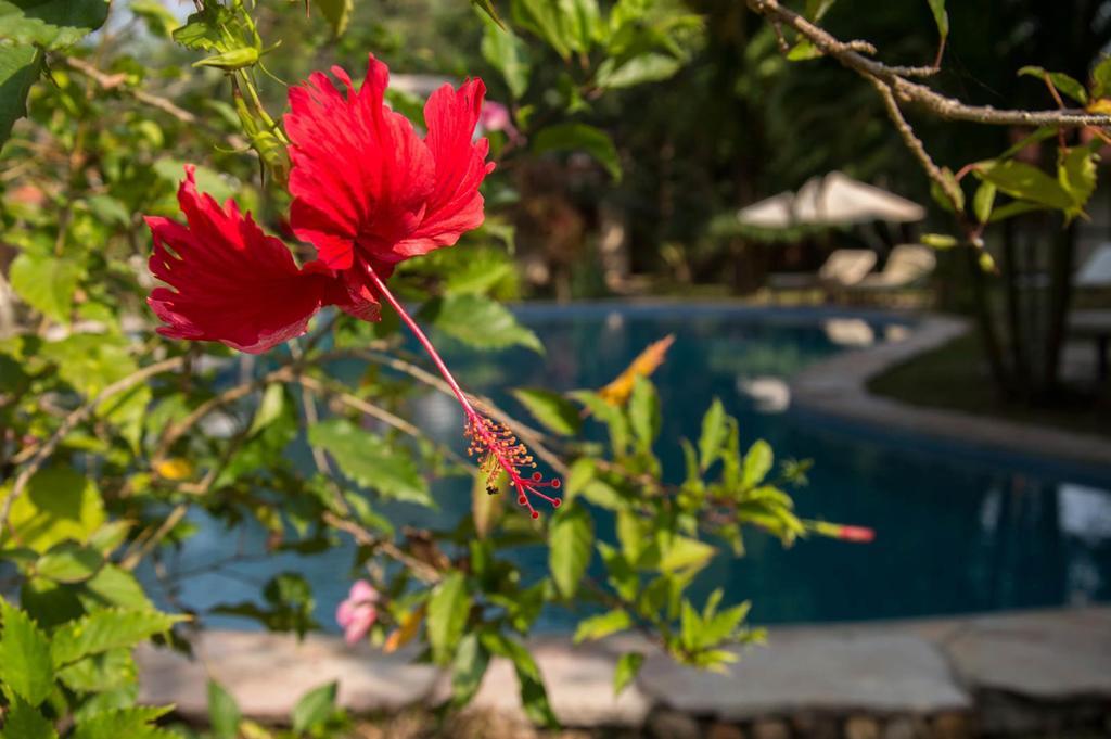 Le Flamboyant Resort Кеп Екстериор снимка